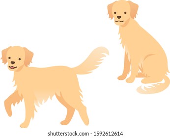 Illustration of two Golden Retrievers (walking / sitting)