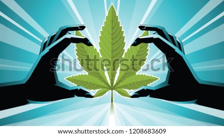 Illustration of two hands holding on cannabis. light under the green leaf vector.