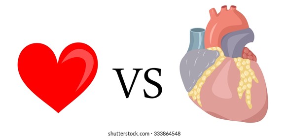illustration of two hearts - human and painted. 