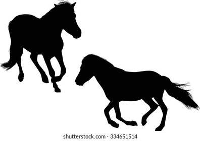 illustration with two horses isolated on white background