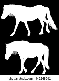 ilustración con dos caballos aislados en fondo negro