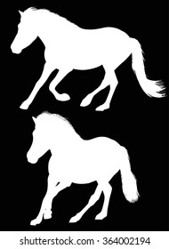illustration with two horses isolated on black background
