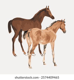 Illustration of two horses, one brown and one tan. The brown horse stands tall, while the tan horse is in front. Both horses are depicted in a realistic style. Vintage illustration isolated, vector.