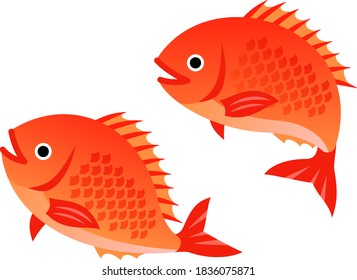 Illustration of two Japanese red sea breams bouncing