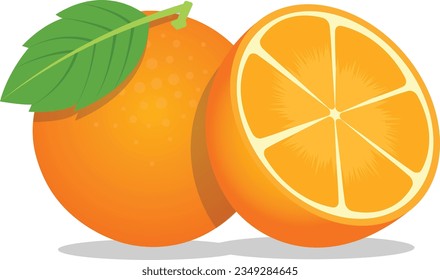 illustration of two juicy oranges with a tree leaf.