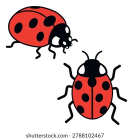 An illustration of two ladybugs in a cartoon style. The bright red bugs with black spots and thick outlines are made in a simple flat design.