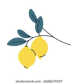 Illustration of two lemons on branch with leaves. Perfect for summer, botanical and food designs.