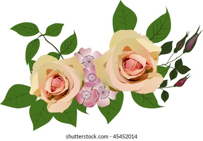 illustration with two light roses decoration isolated on white background