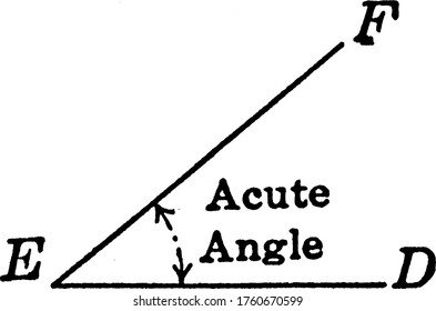 Illustration of two line segments EF, ED and acute angle between them, vintage line drawing or engraving illustration.