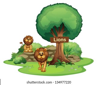 Illustration of the two lions with a wooden signboard on a white background