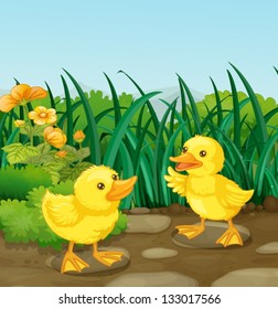 Illustration the two little ducks in the garden