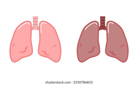 illustration of a two lungs. flat vector cartoon illustration for biology purpose.