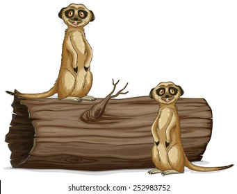 Illustration of two meerkats on the log