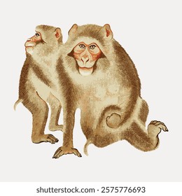 Illustration of two monkeys with detailed fur texture. The monkeys are sitting together, showcasing their expressive faces and natural poses.