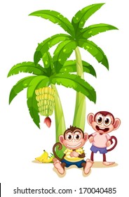 Illustration of the two monkeys under the banana plants on a white background