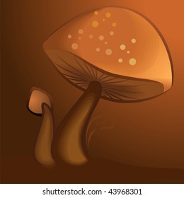 Illustration of two mushroom	