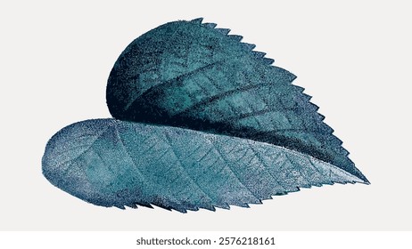 Illustration of two overlapping blue leaves with serrated edges. Blue leaves create a textured, natural look. Leaves are vibrant and artistic. Vintage illustration isolated on white, vector.