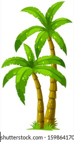 Illustration of the two palm trees on a white background