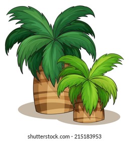 Illustration of two palm tress