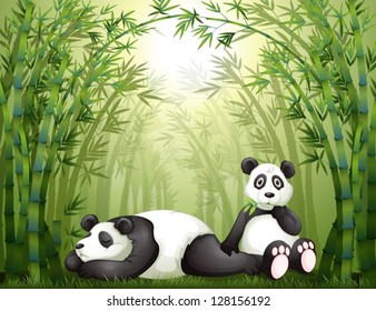 Illustration of two pandas in the bamboo forest