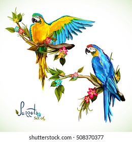 Illustration of two parrots on the tropical branches with leaves. Hand drawn, vector stock
