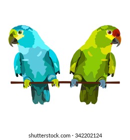 illustration of two parrots. Vector budgies