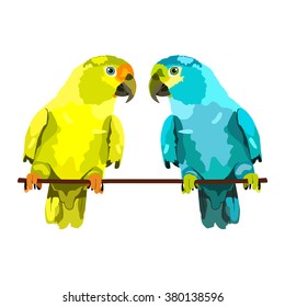 illustration of two parrots. Two vector budgies