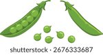 Illustration of two pea pods, one open with peas inside, and loose peas on a white background.