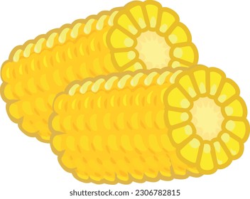 Illustration two pieces of yellow corn