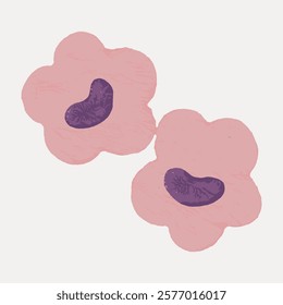 Illustration of two pink, flower-shaped cells with purple nuclei. The cells have a textured appearance, highlighting the contrast between pink and purple. Vintage illustration isolated, vector.