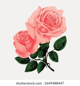 Ilustração de duas rosas cor-de-rosa com folhas verdes. Rosas rosa em flor, pétalas detalhadas. As folhas verdes acentuam as rosas cor-de-rosa. Rosas rosa elegantes, folhas verdes vibrantes. Vetor de flores vintage.