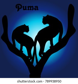 Illustration, two pumas on a tree at night, silhouette on a dark blue background, vector