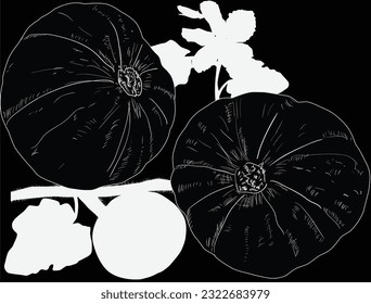 illustration with two pumpkin silhouettes isolated on black background