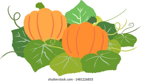 Illustration with two pumpkins lined up