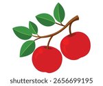 Illustration of two red apples hanging from a branch with green leaves, isolated on a white background.