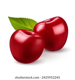 An illustration of a two red cherries with green leaf on backdrop on a plain white