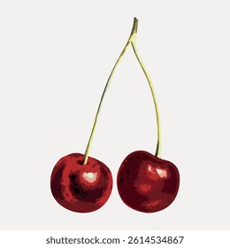 Illustration of two red cherries with green stems. The cherries are bright red, with a glossy texture. The green stems are long and slender, connecting the cherries. Vintage fruit illustration vector.
