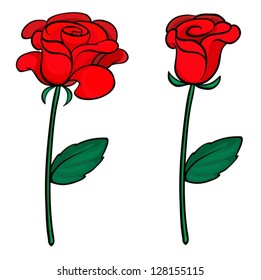 Illustration of two red roses on a white background