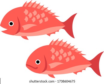 Illustration of two red snapper