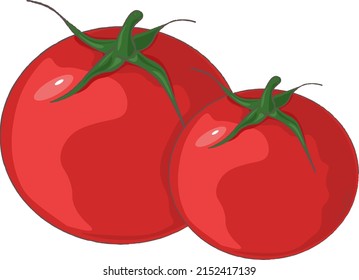 Illustration von zwei roten Tomaten