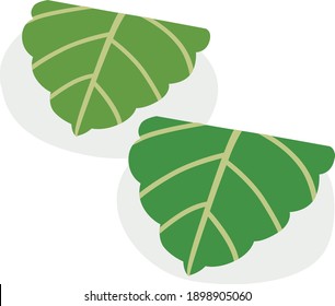 Illustration of two rice cakes containing bean jam wrapped in an oak leaf. This is a Japanese confectionery called "Kashiwa mochi" of Children's Day.