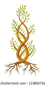 An illustration of two saplings twisted around each other in a helix. Eps 10 Vector.