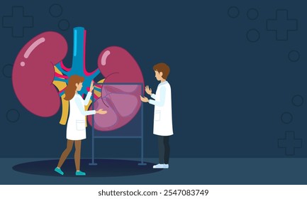 Illustration von zwei Wissenschaftlern, die ein großes Nierenmodell untersuchen. Der eine benutzt einen Laptop, während der andere Gesten am anatomischen Modell verwendet, die Forschung und Bildung symbolisieren.