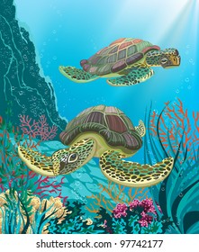 Illustration of two sea turtles swimming underwater