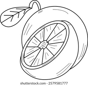 the illustration of two sets of orange fruit that have already been cut and not.