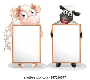 Illustration of the two sheeps with empty boards on a white background 