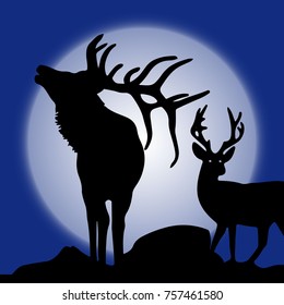 Illustration, two silhouette of deer (northern) in winter at moonlight, vector