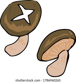 Illustration of two simple shiitakes