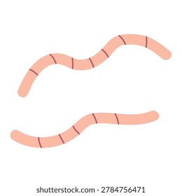 An illustration of two simple worms. A pair of doodle earthworms for fishing.