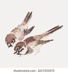 Illustration of two sparrows in flight. Sparrows depicted in a vintage style. Birds with brown and beige tones. Sparrows flying gracefully together. Vintage bird illustration, animal vector.